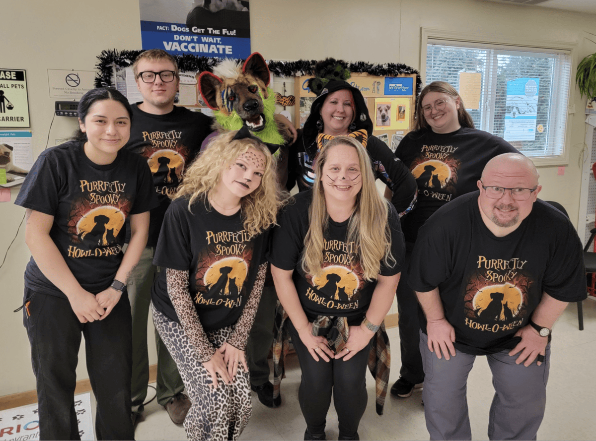 Description of image 1