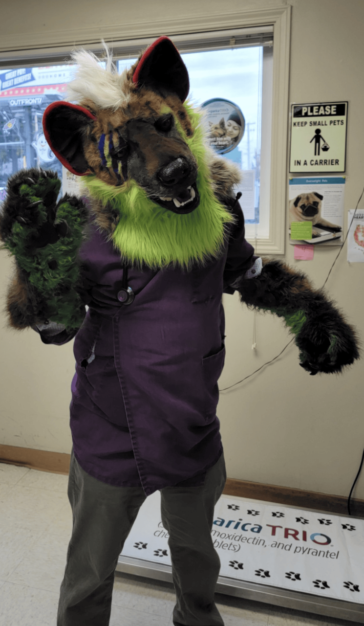 Description of image 2